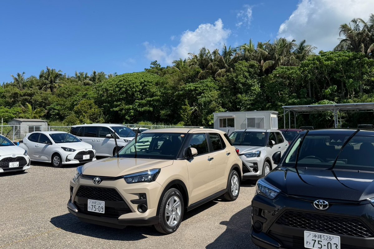 店舗の駐車場に並ぶブルーリーフレンタカーの車